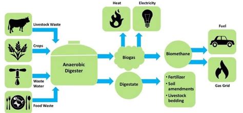 Thesis 2018: Identifying barriers and enablers of the biogas value ...