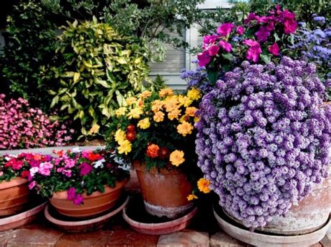 How to Create A Bee-Friendly Balcony Garden