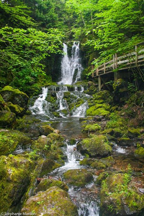 Fundy National Park by Stéphanie Masson on 500px - Waterfalls in Fundy National Park, Canada ...