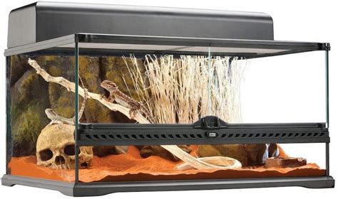 Ball python tank size- How to setup Ball Python tank decor?