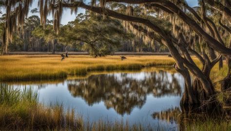 Lake Kissimmee State Park: Explore Florida - Verdant Traveler