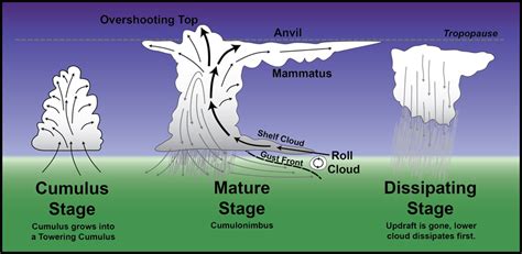 Steve Horstmeyer's - Inside The Forecast: Thunderstorm Primer - Part 1: Storms Formerly Known As ...