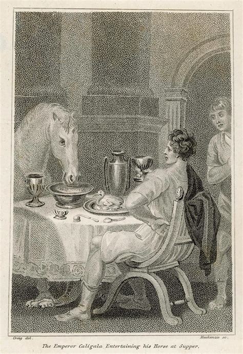 Gaius Caesar Caligula Fed His Horse Drawing by Mary Evans Picture Library