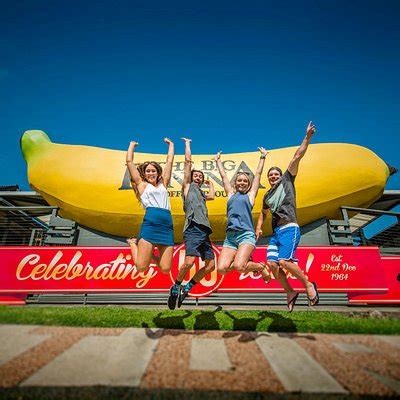 THE 15 BEST Things to Do in Coffs Harbour - 2021 (with Photos ...