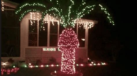 Holiday Travel Tip: Don't Put Christmas Lights On Palm Trees... - God ...