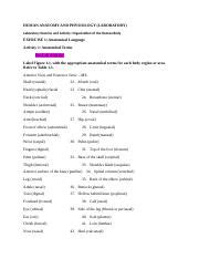 HUMAN ANATOMY AND PHYSIOLOGY LAB 1.docx - HUMAN ANATOMY AND PHYSIOLOGY ...