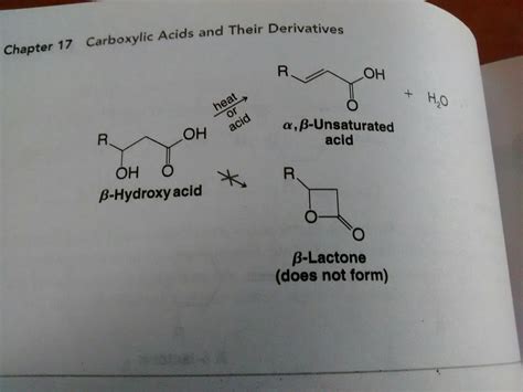 organic chemistry - Beta lactone query - Chemistry Stack Exchange