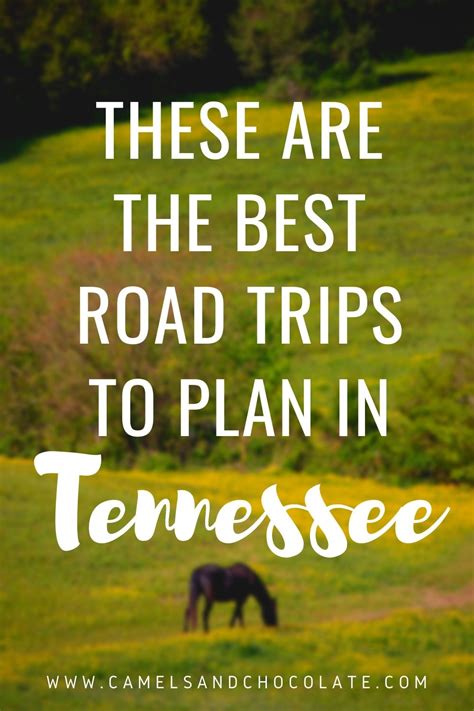 The Best Road Trips in Tennessee