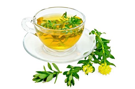 Rhodiola Rosea: Tea of Life