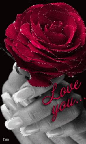 Red Roses For You GIF - Red Roses For You Love You - Discover & Share GIFs