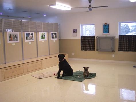 dog training room | We offer a spacious 1200 sq ft. indoor f… | Flickr