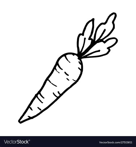 Carrot cartoon doodle icon isolated on white Vector Image