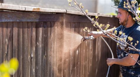 The Best Way to Stain a Fence (Contractors Love This)