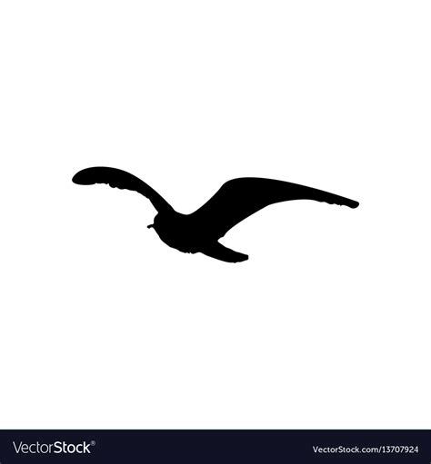 Flying seagull bird black silhouette isolated on Vector Image