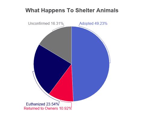 Animal Shelter Statistics [2020]: Facts & Data by Year