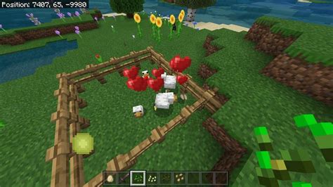 How to breed and tame a chicken in Minecraft?