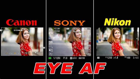 Canon EOS R5 vs Sony a7R IV vs Nikon Z7 Eye AF Comparison - Daily Camera News