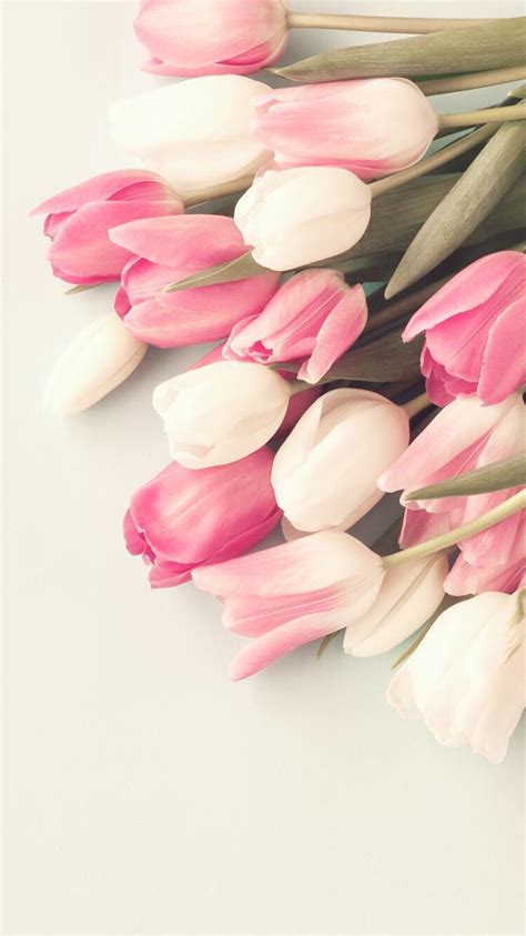 A picture from Kefir: https://kefirapp.com/w/2373622 | Flower iphone wallpaper, Trendy flowers ...