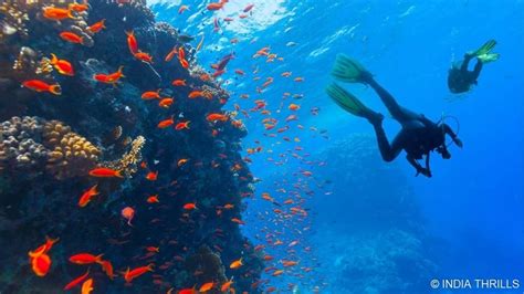 Scuba diving in Grand Island, Goa | Book Online @ ₹1490 Only!