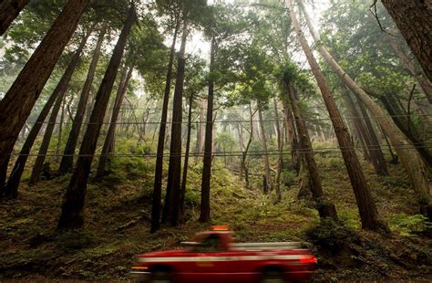 Big Sur fire grows to nearly 33,000 acres