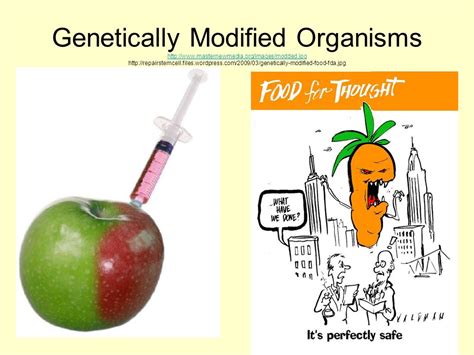 Genetically Modified Organisms | COMPLIANT PAPERS