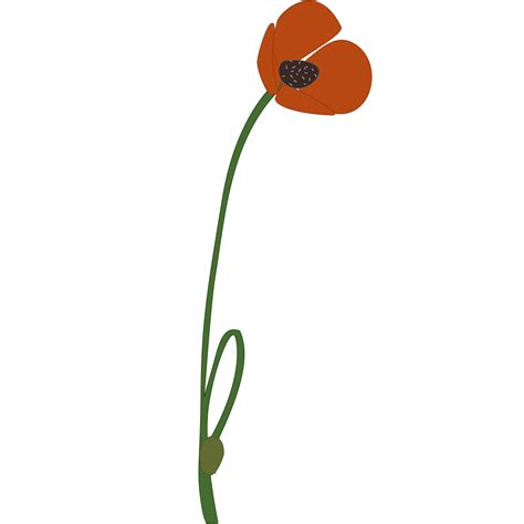 Poppy Remembrance Day PNG, SVG Clip art for Web - Download Clip Art ...