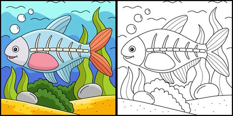 X-ray Fish Animal Coloring Page Illustration 10993806 Vector Art at Vecteezy