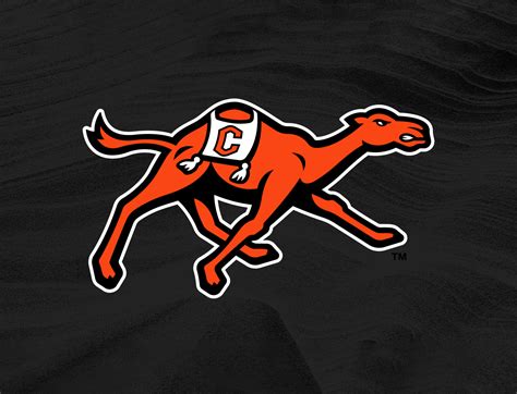 Campbell Athletics unveils new logo, brand identity - News | Campbell ...