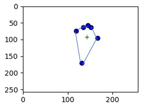 10: Example visualization of convex hull from 6 keypoints. Green + is ...