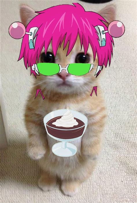 Saiki pfp (Saiki K) | Anime kitten, Funny anime pics, Anime funny