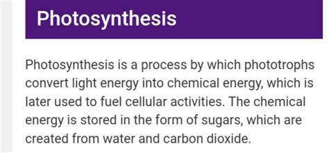 SOLUTION: Photosynthesis , process of photosynthesis , equation of ...