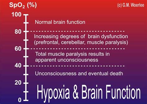 hypoxia and mental function