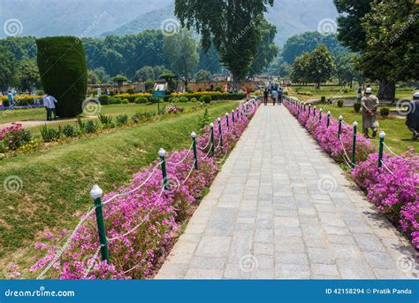 Nishat Garden, Srinagar, Jammu and Kashmir Editorial Stock Image ...