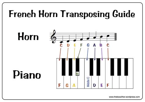 Image result for french horn transposition chart | French horn, French ...