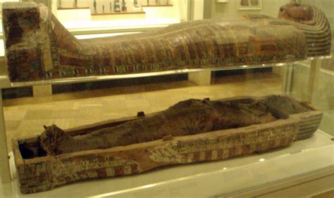 File:AncientEgyptianMummy-Antjau-ROM.png - Wikimedia Commons