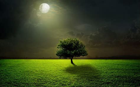 Dark Nature Wallpapers - Top Free Dark Nature Backgrounds - WallpaperAccess