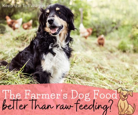 The Farmer’s Dog Food Review by a Raw Feeder