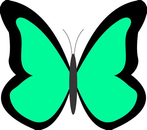 Butterflies butterfly clip art butterfly clipart – Clipartix