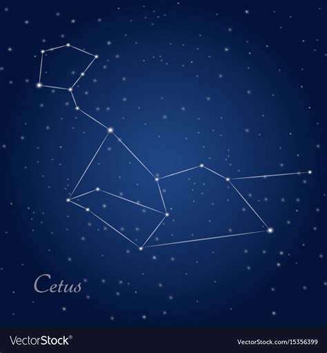 Cetus whale constellation at starry night sky Vector Image