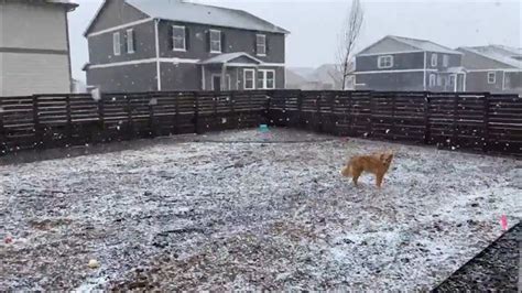 Snow begins across Colorado as major storm approaches | 9news.com