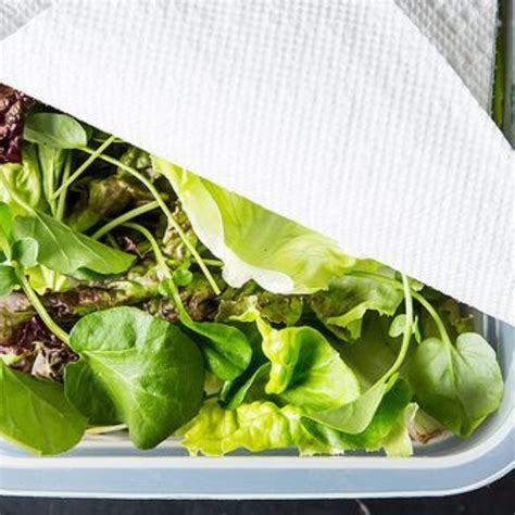 Storage for Longer Lasting Lettuce - Produce Bites : Produce Bites