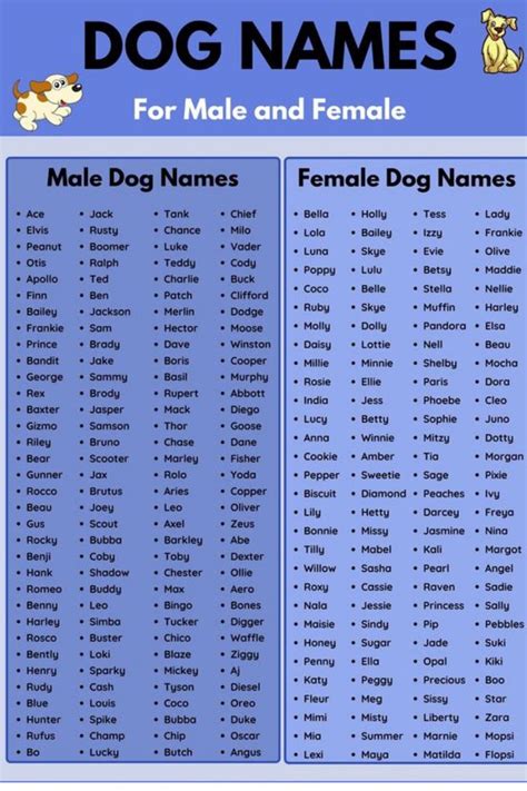 Dog Names: 100+ Most Popular Male and Female Dog Names | Dog names ...