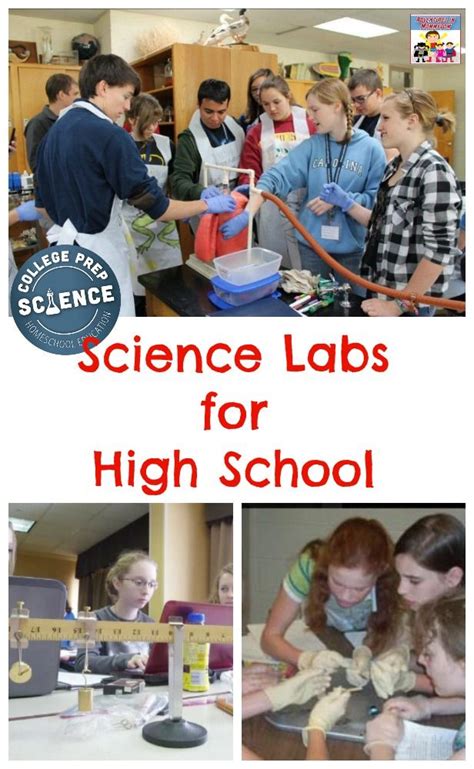 Science labs for high school 2 day science lab intensive | High school science experiments, High ...