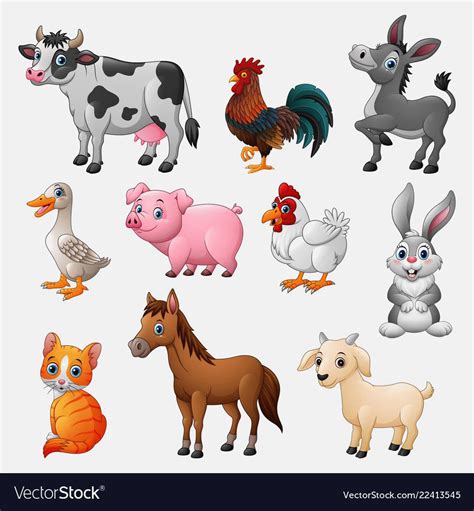 Farm animal collection set on white background Vector Image | Farm ...