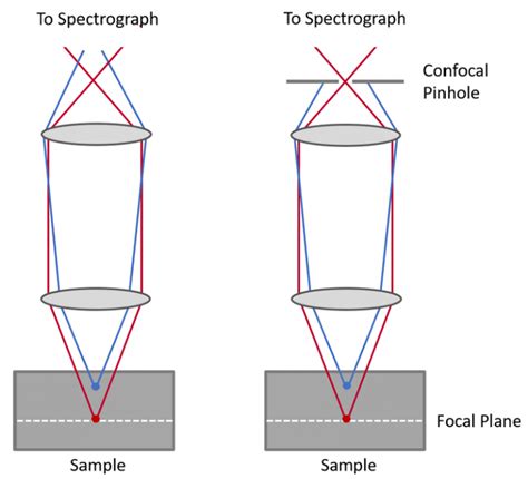 Confocal Raman Microscopy | Confocal Microscope