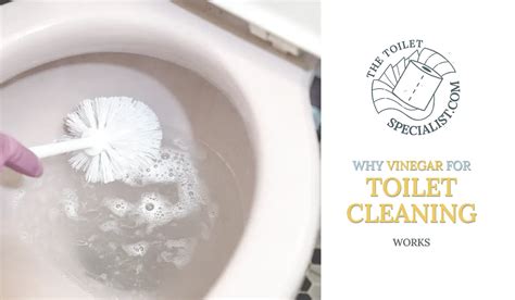 Vinegar in a toilet? Why vinegar for toilet cleaning works