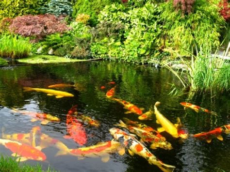 Gibraltar Botanic Gardens