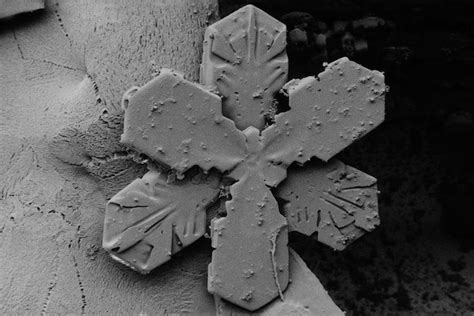 Snowflakes Under an Electron Microscope | WIRED