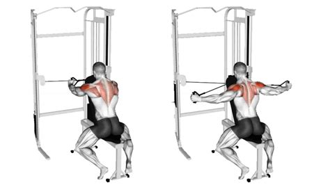 How To Do Seated Rear Delt Fly Properly