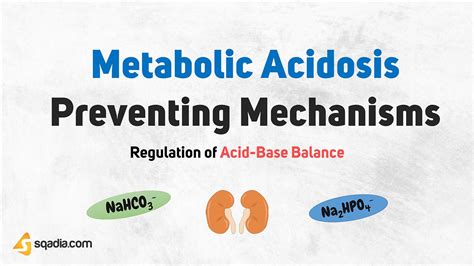 Regulation of Acid-Base Balance